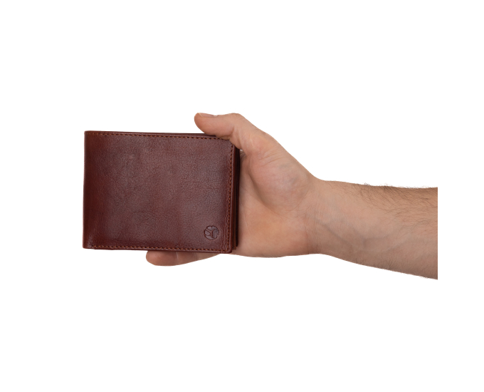 Pánská peněženka kožená SEGALI 103 A hnědá
