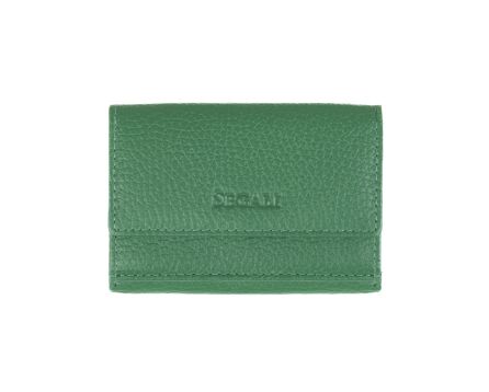 Dámská peněženka kožená SEGALI 1756 B zelená